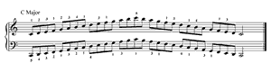 Major Scales by Technique Major Scales n/a by Technique piano sheet music