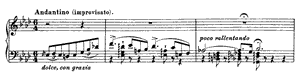 Ricordanza  no 9 A-flat Major by Franz Liszt piano sheet music