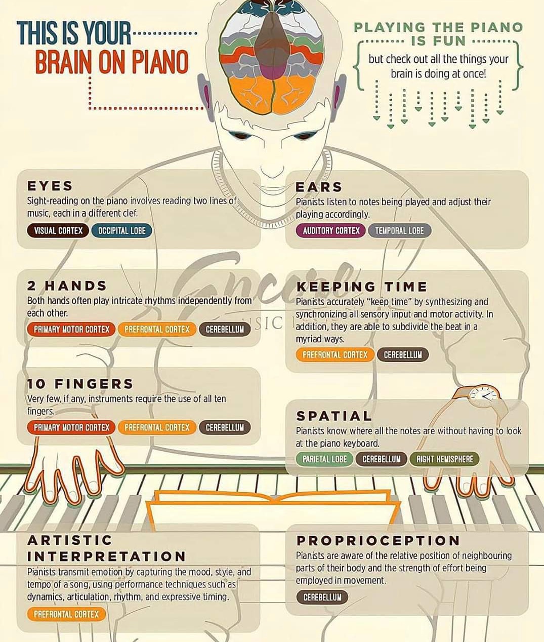 This is your brain on piano
