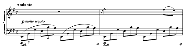 Nocturne 19 Op. 72 No. 1  in E Minor by Chopin piano sheet music